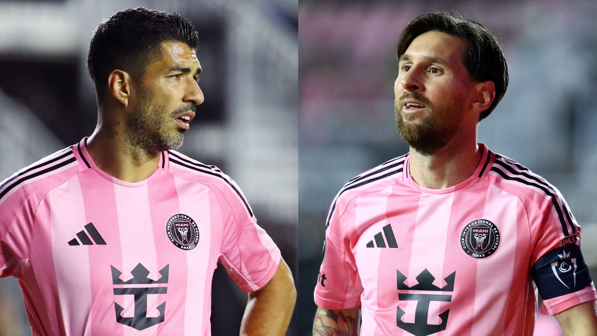 对于热爱篮 对于热爱篮