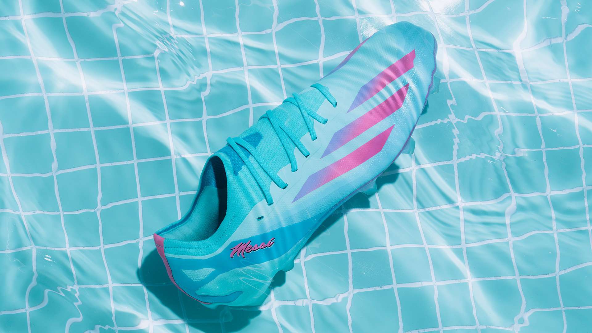 在这个平台 在这个平台